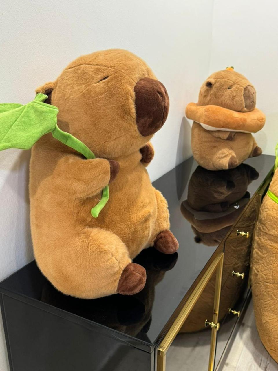 Capybara House * Kluang